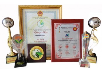 Giải thưởng của Công ty